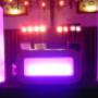 drive in show noord holland