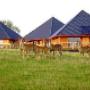 TravelXL Minet van Wees
