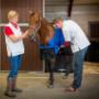 Dierenkliniek Ridderkerk Hoofdlocatie