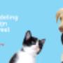 Dierenkliniek Ridderkerk Hoofdlocatie
