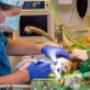 Dierenkliniek Ridderkerk Hoofdlocatie