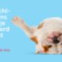 Dierenkliniek Ridderkerk Hoofdlocatie