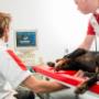 Dierenkliniek Ridderkerk Hoofdlocatie