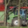 Noest Bos- en Landschapsbouw Boomverzorging
