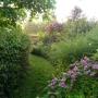 Landelijke tuin
