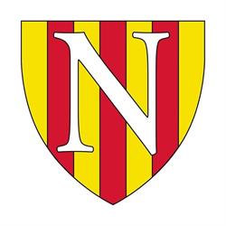 Voetbal Vereniging Nederhorst