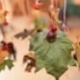 Dromelot Kinderdagverblijf