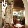 Surakarta Indonesisch Restaurant