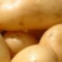 Quik's Quality Potatoes Hedel