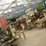 Mulder Tuinder + Perkplanten P de