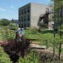 Tuin