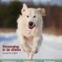 Ons Magazine