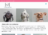 Hondentrimsalon Pluk