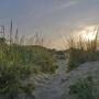 Duinen