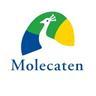 Molecaten Park 't Hout