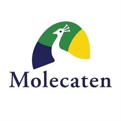Molecaten Park De Koerberg