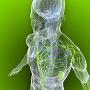 Oedeemtherapie & Lymfedrainage