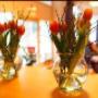 Logeerhuis en hospice In Via