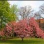 Logeerhuis en hospice In Via