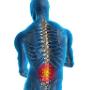 Fysiotherapie en Oedeemtherapie Meiland