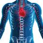 Fysiotherapie en Oedeemtherapie Meiland