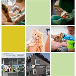 Dierenartsenpraktijk Zwolle Zwartewaterland