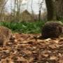 Natuur- en Milieu Educatie Amstelveen