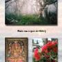 Fotoservice Bussum