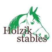 Holzikstables