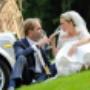 VIP rentals