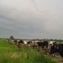 Oans IJsboerderij