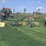 Testers Loon- en Grondwerken