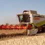 Testers Loon- en Grondwerken