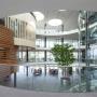Roessink Interieurbeplanting