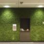 Roessink Interieurbeplanting