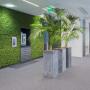 Roessink Interieurbeplanting