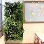 Roessink Interieurbeplanting
