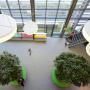 Roessink Interieurbeplanting