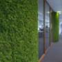 Roessink Interieurbeplanting