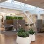 Roessink Interieurbeplanting