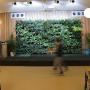 Roessink Interieurbeplanting