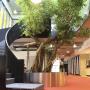 Roessink Interieurbeplanting