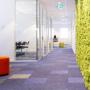 Roessink Interieurbeplanting