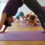 Hatha Yoga Downward Dog