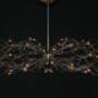 Boers Licht & Design