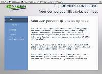 T.J. de Vries Consulting