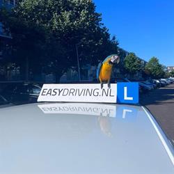 Rijschool Easydriving
