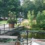 Protestante Gemeente Warmond