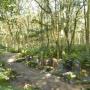 Mooie natuuromgeving