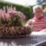 Hospice Het Alteveer Assen